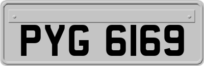 PYG6169