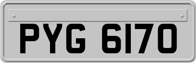 PYG6170