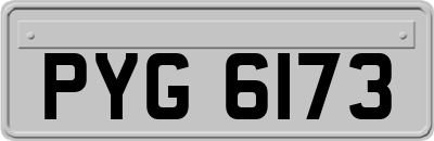 PYG6173