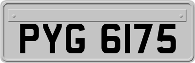 PYG6175