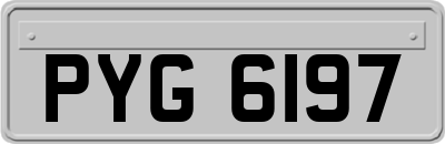 PYG6197