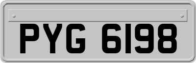 PYG6198