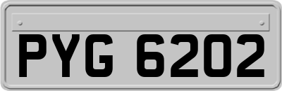 PYG6202