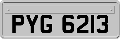 PYG6213