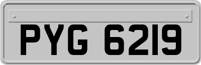 PYG6219