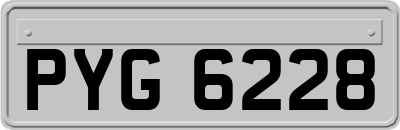 PYG6228