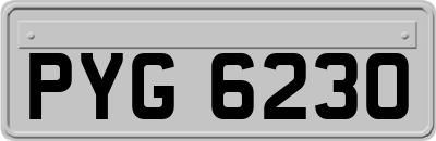 PYG6230