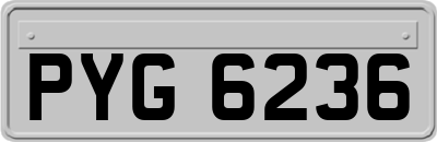 PYG6236