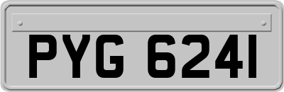 PYG6241