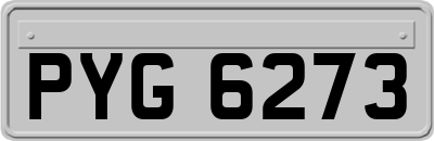 PYG6273