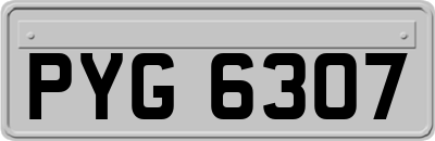 PYG6307