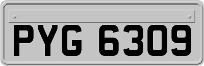 PYG6309