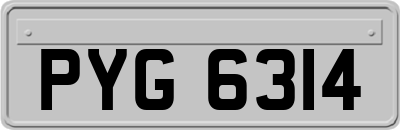 PYG6314