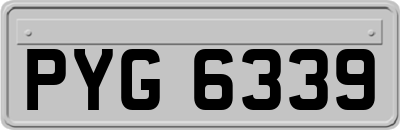 PYG6339