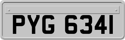 PYG6341