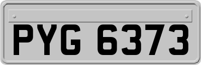 PYG6373