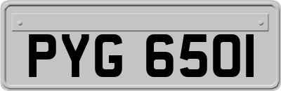 PYG6501