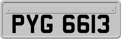 PYG6613