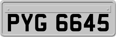 PYG6645