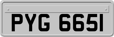 PYG6651