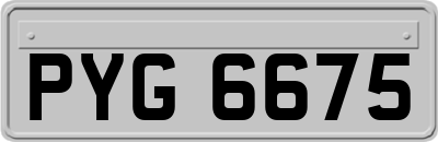 PYG6675