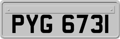 PYG6731