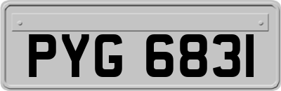 PYG6831