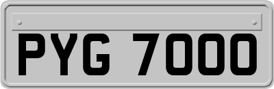 PYG7000