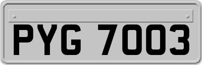 PYG7003