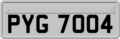 PYG7004