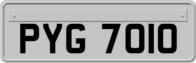 PYG7010