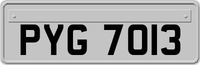 PYG7013