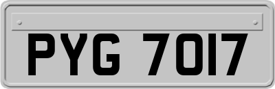 PYG7017