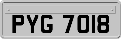 PYG7018