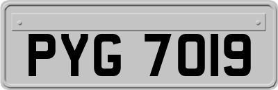 PYG7019