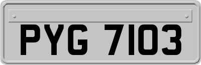 PYG7103