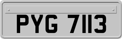 PYG7113