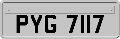 PYG7117