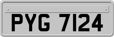 PYG7124