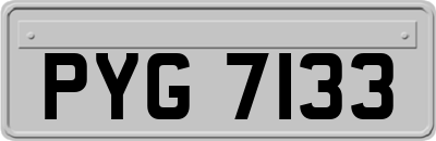 PYG7133