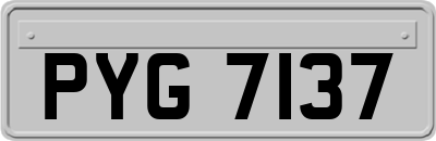 PYG7137