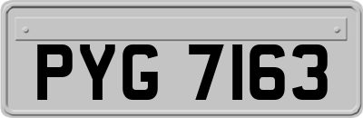 PYG7163