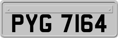 PYG7164