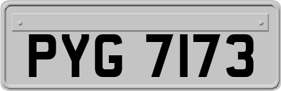 PYG7173