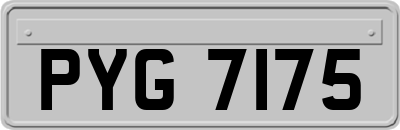 PYG7175