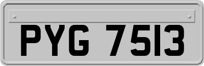 PYG7513