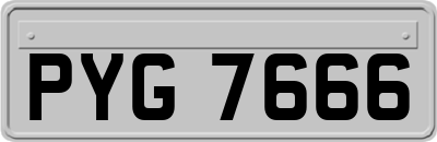 PYG7666