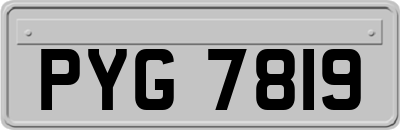 PYG7819