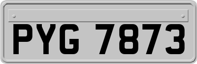 PYG7873