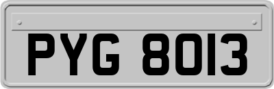 PYG8013